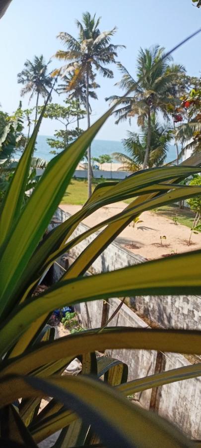 Marari Sibiya Beach Villa Mararikulam Exteriér fotografie