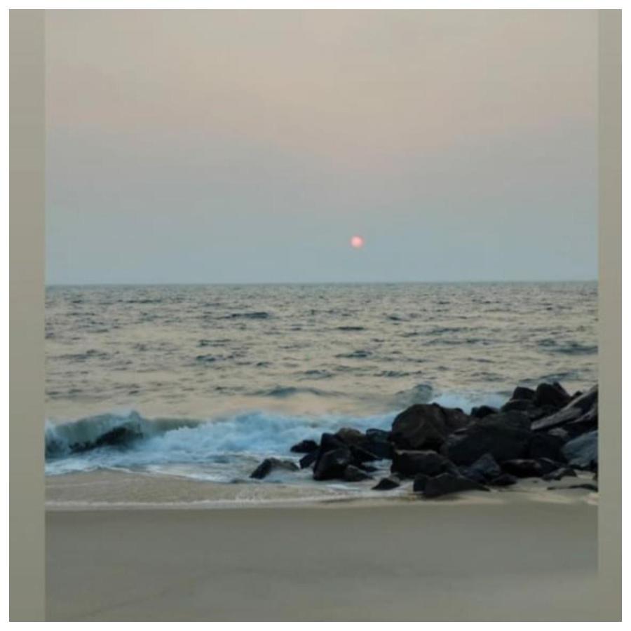 Marari Sibiya Beach Villa Mararikulam Exteriér fotografie
